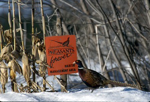 Habitat Area